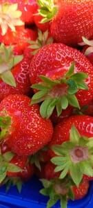 Erdbeeren Nüsse